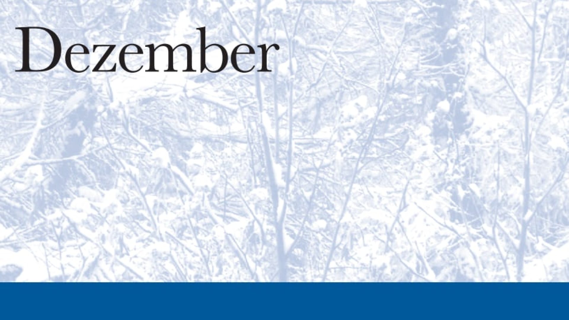 dezember_9783518224601_cover